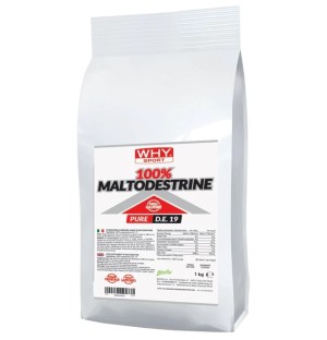 MALTODESTRINE 100% WHYSPORT 1 KG