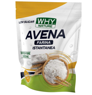 FARINA ISTANTANEA AVENA WHY NATURE GUSTO CIAMBELLA 1 KG