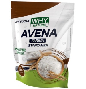 FARINA D'AVENA LOW SUGAR WHY NATURE GUSTO CACAO 1 KG