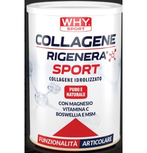 COLLAGENE RIGENERA SPORT WHY SPORT 336 GR GUSTO NEUTRO